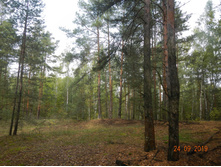 DSCN2373.JPG