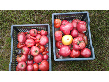 ������� ������