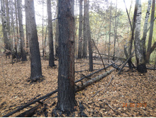 DSCN2370.JPG