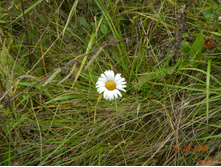 DSCN1594.JPG