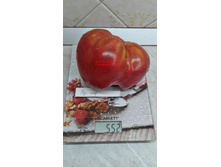 ������� ���