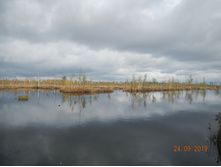 DSCN2390.JPG