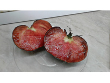 ������ �������, �����