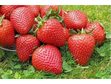 �������� ������ ���-����� 86��� (�������� 1��).jpg