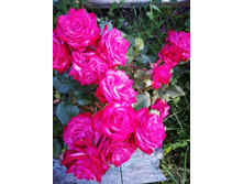 IMG 20190911 183319.jpg