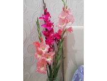 IMG 20190913 204954.jpg