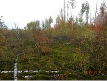 DSCN2412.JPG