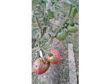 �� ������ ���������