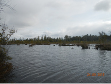 DSCN2396.JPG
