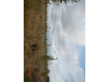 DSCN2387.JPG