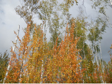 DSCN2389.JPG