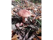 IMG 20190911 131126.jpg