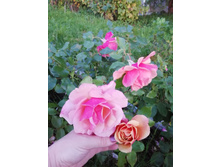 IMG 20190911 183256.jpg