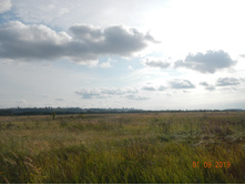 DSCN1589.JPG