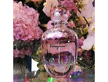 AMO FERRAGAMO SALVATORE FERRAGAMO 4600+%+����