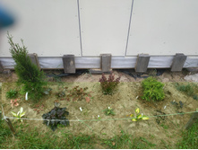 IMG 20190908 104813.jpg