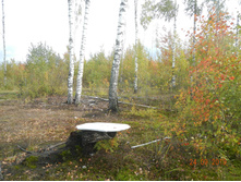 DSCN2407.JPG