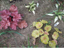 IMG 20190908 103849.jpg