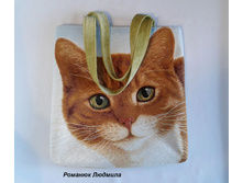 ����� ������� "�����-���������" ������� �� �������� �� �����