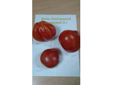 ��������� ����� - �������� �� ������� � ��� �����