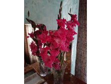 IMG 20190901 070702.jpg