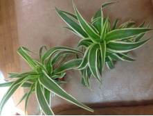 ���������� �����