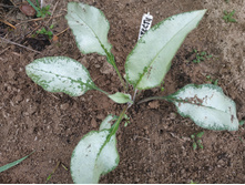 IMG 20190908 104249.jpg