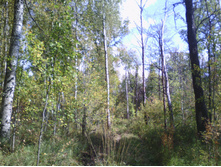 IMG 20190915 124949.jpg