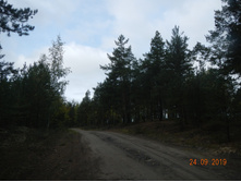 DSCN2377.JPG