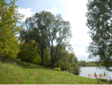 DSCN1560.JPG