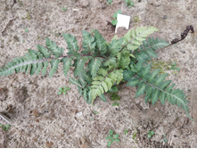 IMG 20190908 104746.jpg