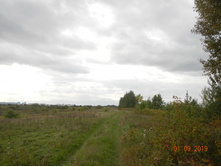 DSCN1595.JPG