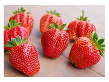 �������� ���� ��� 96��� (�������� 2��).jpg