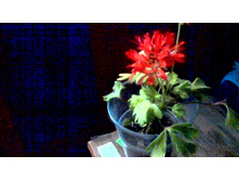 �������� � ������-���������� �������