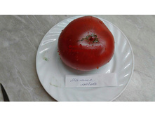 ������ ������