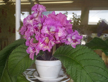 DS-���������� ��������.jpg