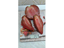 ��������� �����������.jpg