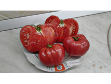 ������� �� ������