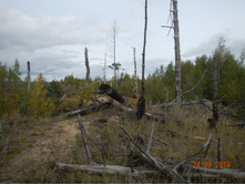 DSCN2420.JPG