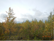 DSCN2402.JPG