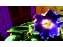 DS-������� �����������