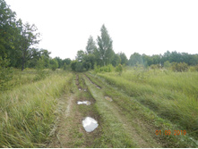 DSCN1535.JPG