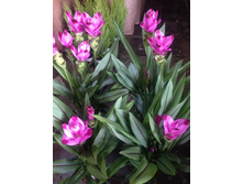 ����������� viber 2019-09-25 12-18-33.jpg