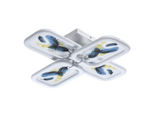 424010704 8900�.jpg