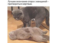 ������ ��������� ����� � �������� - ������������ ͣ�����.