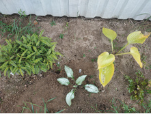 IMG 20190908 104255.jpg