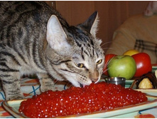 ��ף� �� �� ������� ������� ... ������ �������� ��� ��� ������ ... ��� ���������� ���-�� ��� ..