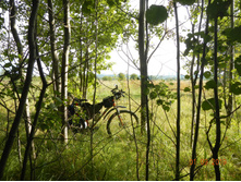 DSCN1587.JPG