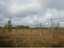 DSCN2382.JPG