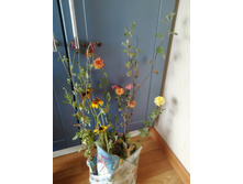 ���������� �� 2 ������